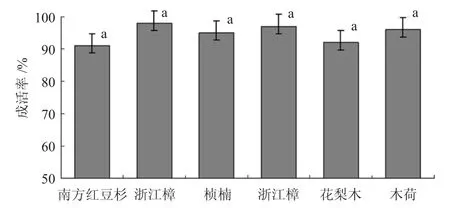 废菌糠基质培育珍贵树种容器苗技术研究*