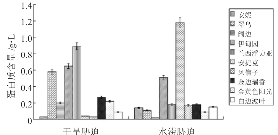 水分胁迫对玉簪的影响*
