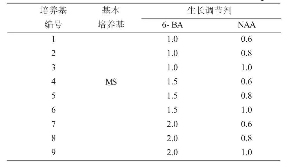 欧洲乔木花楸组织培养快速繁殖体系建立研究