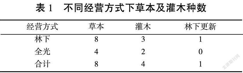 两种经营类型蓝靛果林下植物多样性分析