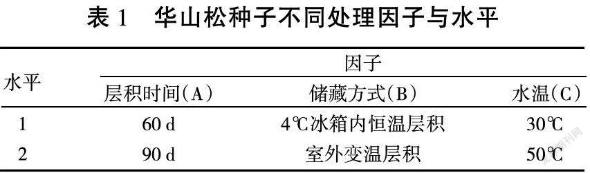 华山松种子不同处理方法育苗试验