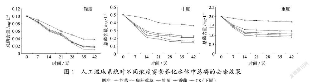 抚顺社河湿地植物对富营养化水体的修复效果研究