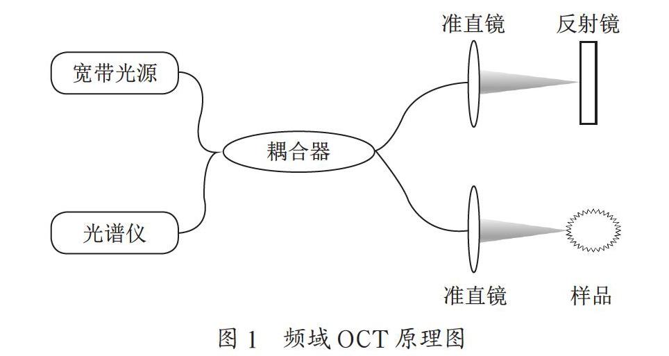 视网膜光学相干层析图像自动分层技术综述