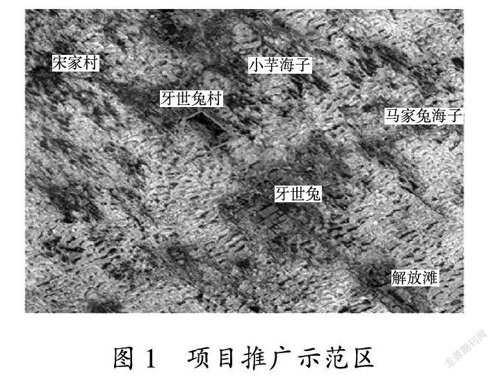 榆林沙地矿区植被恢复造林模式推广示范