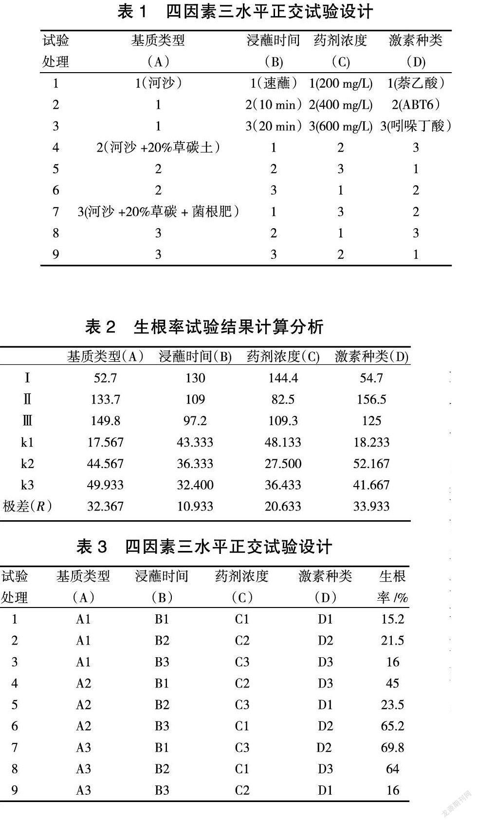 中华金叶榆全光喷雾嫩枝扦插技术分析