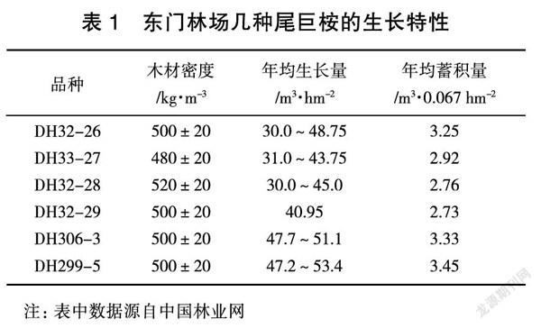 几种尾巨桉的品种特性及制材方向分析