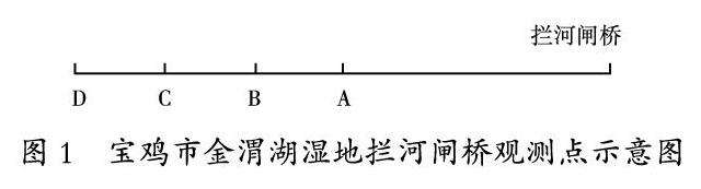 宝鸡金渭湖湿地小气候效应初探