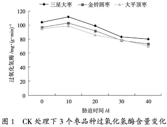 水分胁迫对3个枣品种过氧化氢酶含量的影响