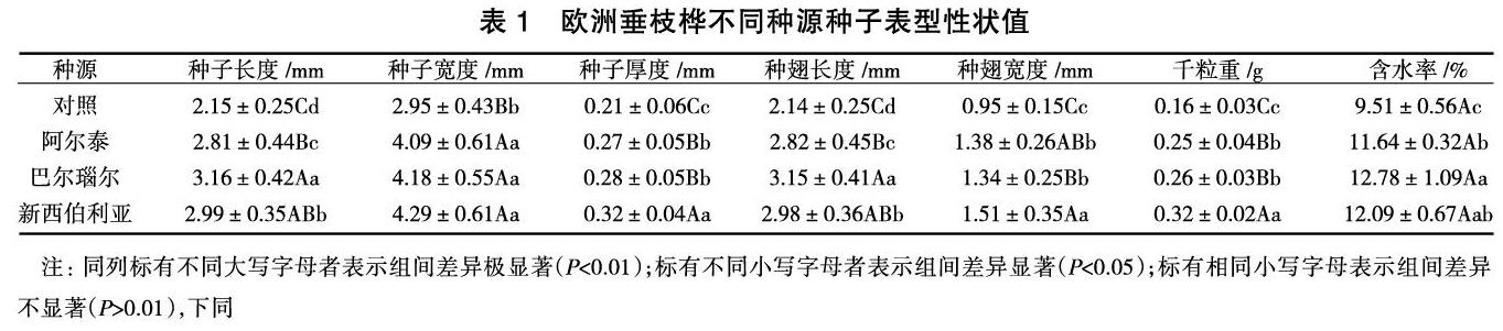 欧洲垂枝桦不同种源种子形态及萌发特性研究