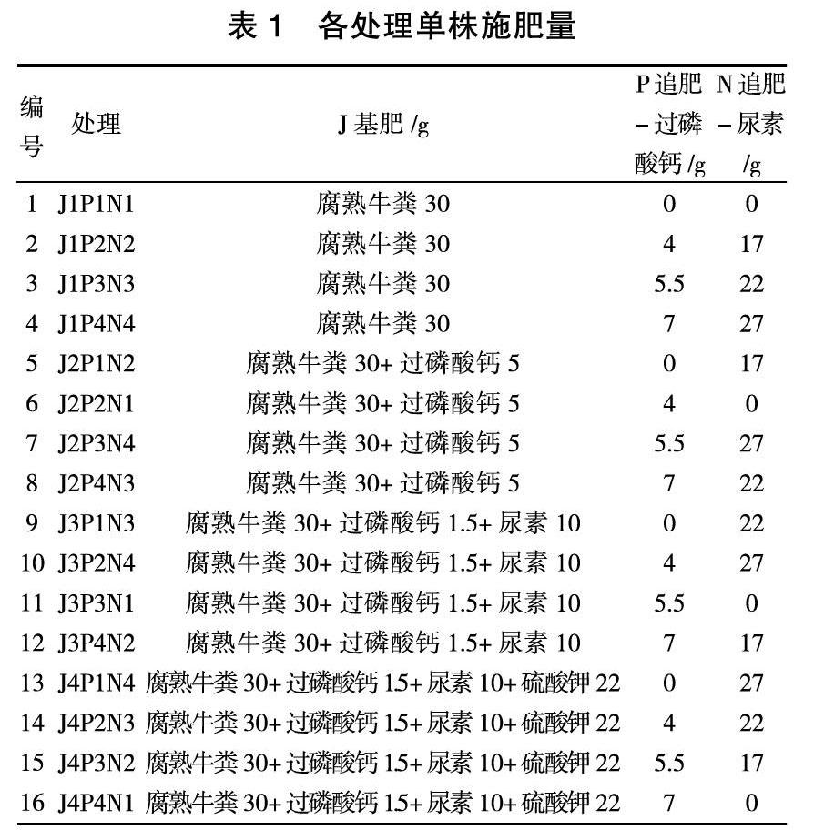 不同施肥处理对红松苗期生长的影响