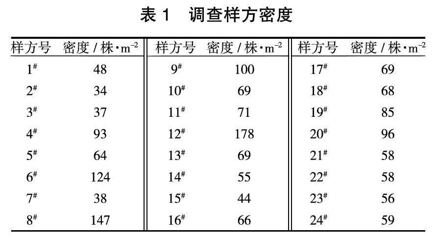 俄罗斯花楸1年生播种苗生长调查分析初报