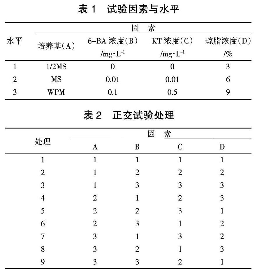 俄罗斯杨树新品种N12玻璃化组培苗恢复培养的研究