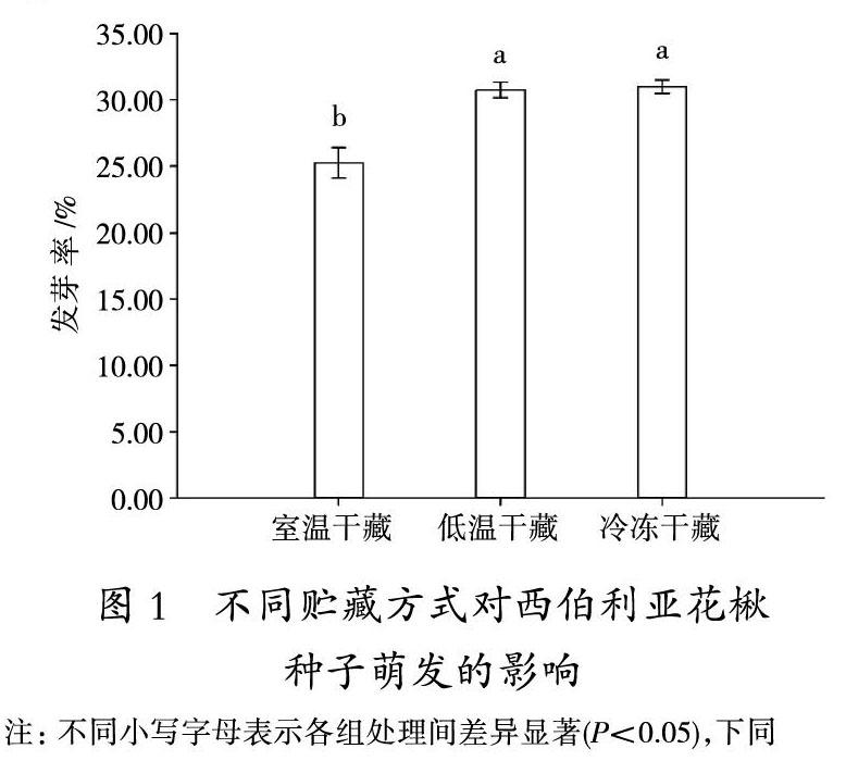 西伯利亚花楸种子不同处理对萌发特性的影响