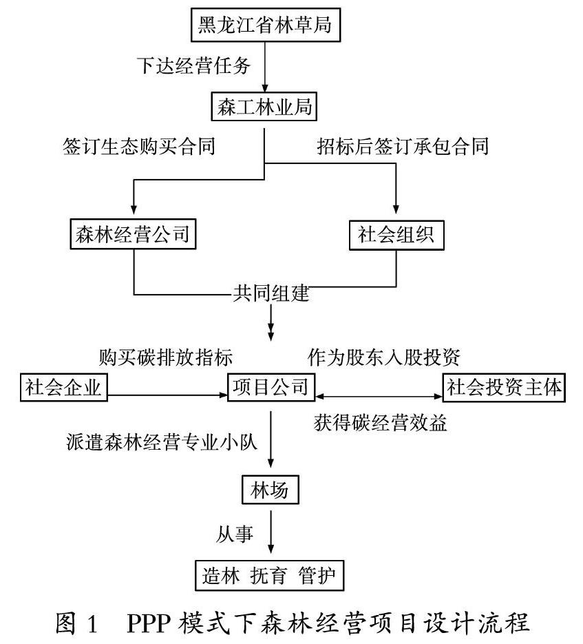 国外森林经营管理经验启示及我国森林经营PPP项目模式研究