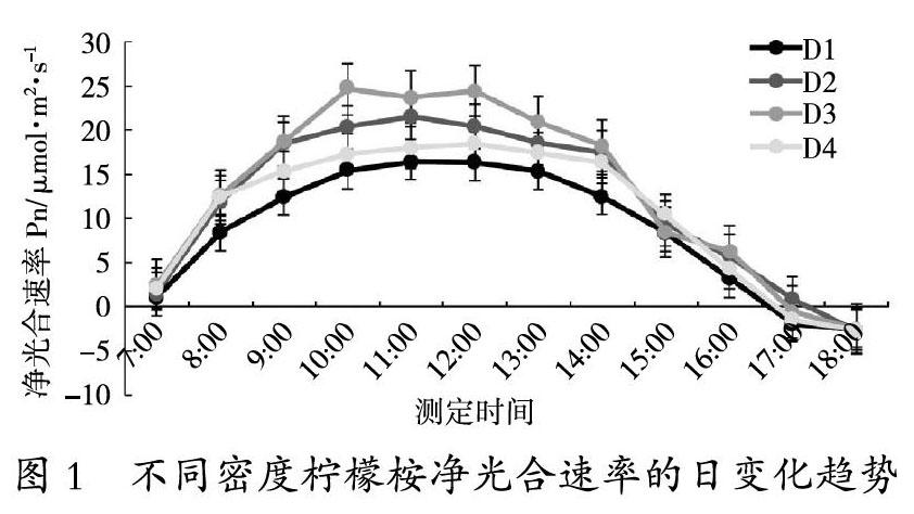 不同造林密度下油用柠檬桉光合速率日变化研究