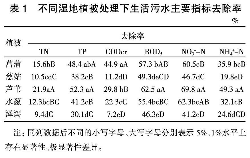 张掖地区不同湿地植被净化生活污水效果分析