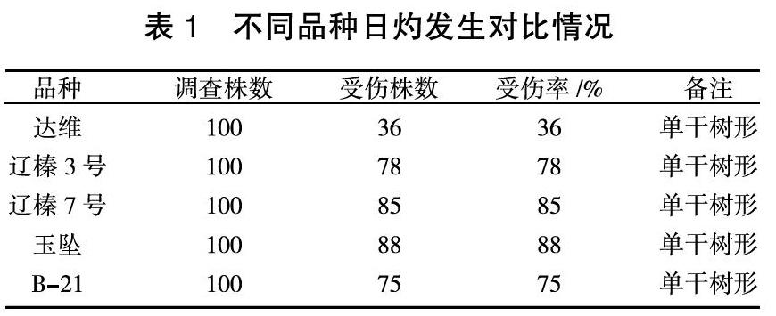 平欧榛子日灼调查分析与防治对策
