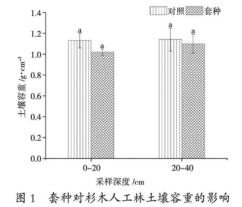 套种对杉木人工林土壤物理性质及生长的影响