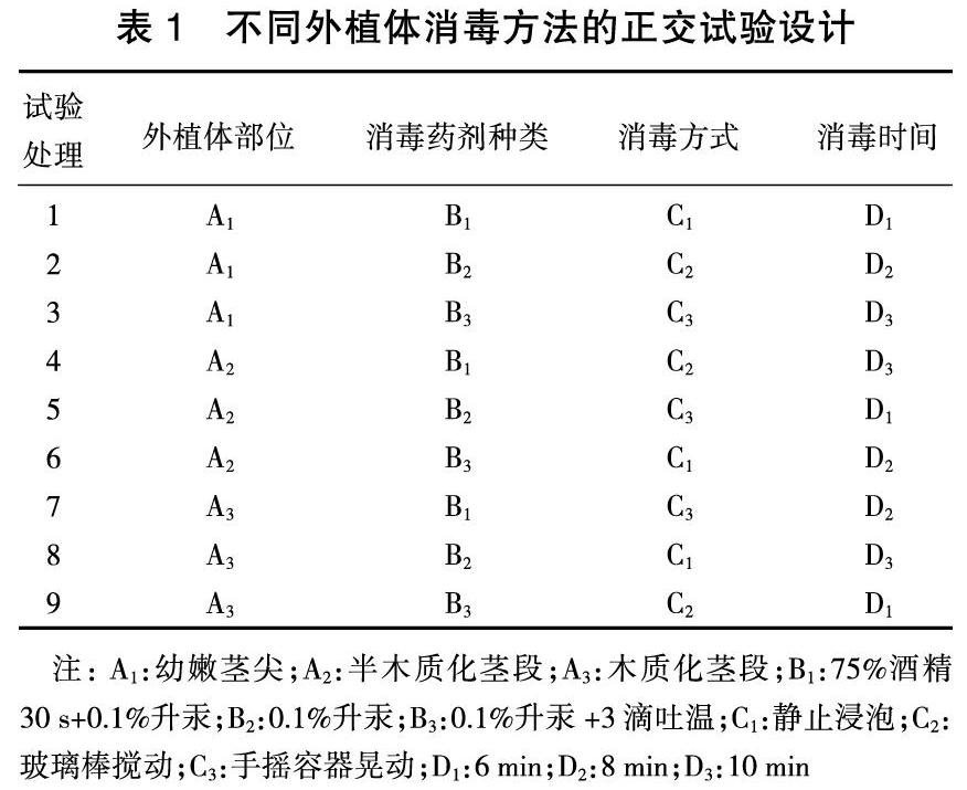 红醋栗外植体的选择及消毒方法研究