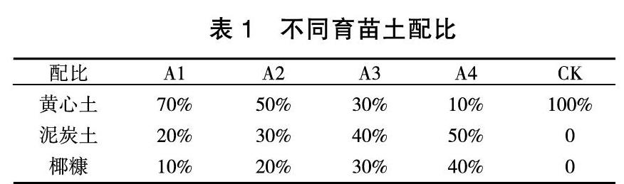 不同育苗土对刨花润楠苗木换袋培育的影响
