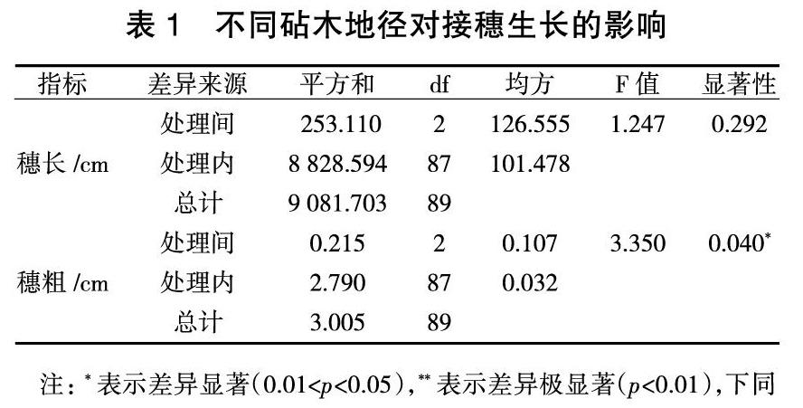 香榧大苗定砧嫁接技术试验
