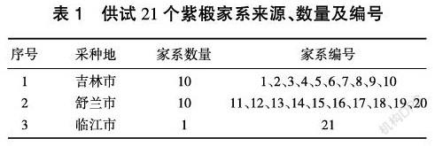 不同种源紫椴苗期优良家系选择