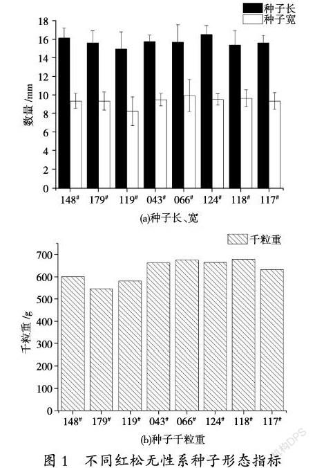 不同红松无性系种子形态、松多酚含量及播种育苗差异研究