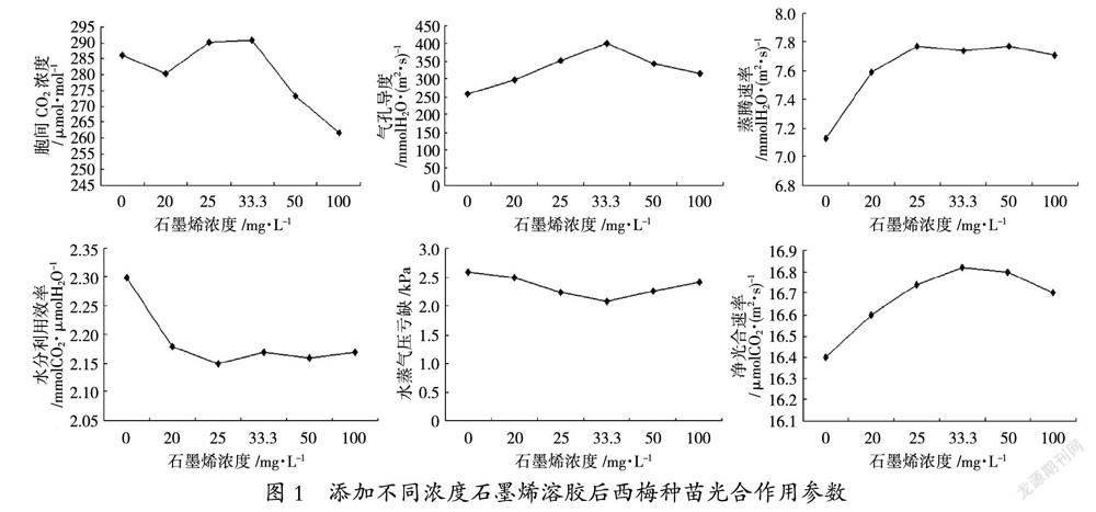 石墨烯对西梅苗木生长影响的作用机理初探