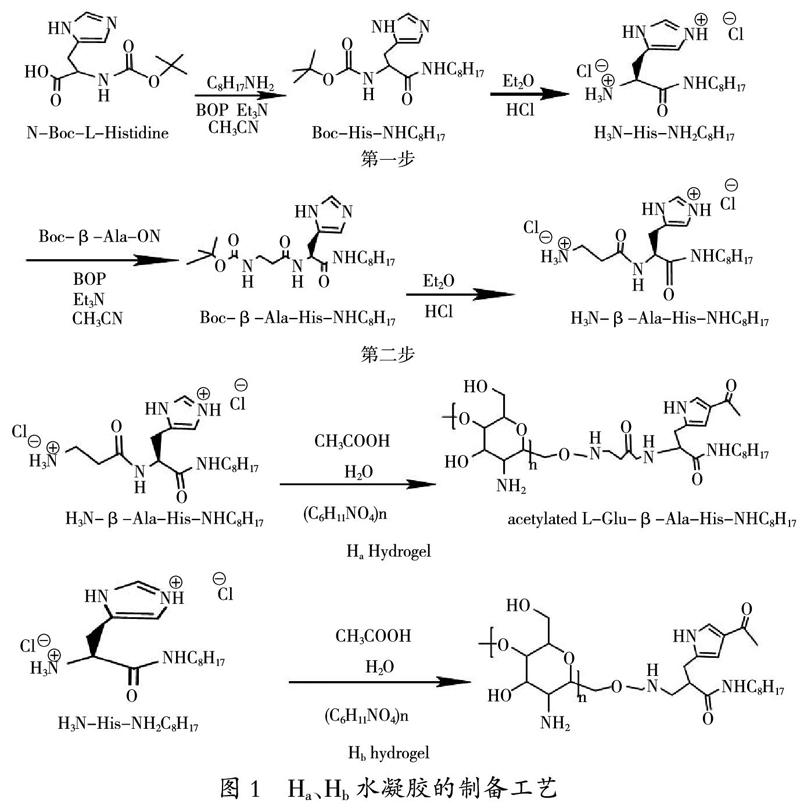 新型CTS硼盐水凝胶的制备及其对木材防腐效果的研究