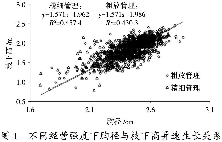 不同经营强度和竹龄下毛竹胸径与枝下高异速生长分析