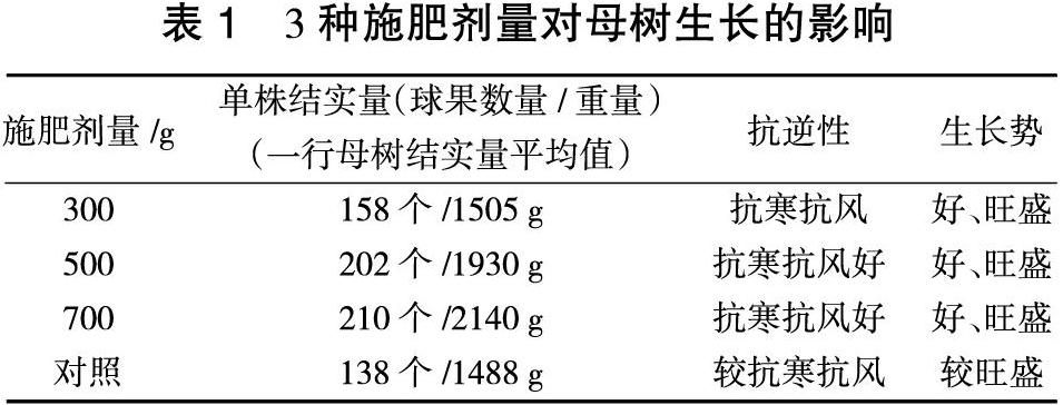 樟子松种子园施肥试验研究