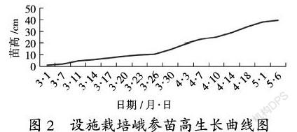 峨参繁殖及丰产栽培技术研究