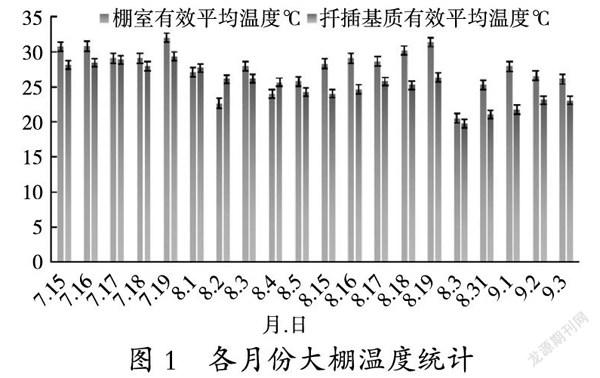 小兴安岭地区刺五加嫩枝扦插育苗技术