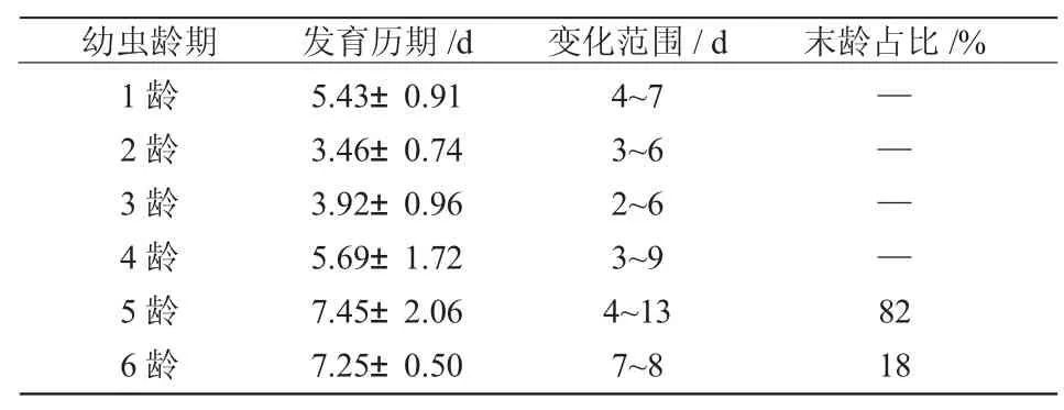 皂荚合欢罗蛾的生物学特性研究