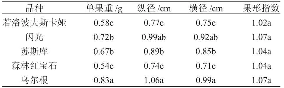 欧洲荚蒾不同品种果实性状比较研究