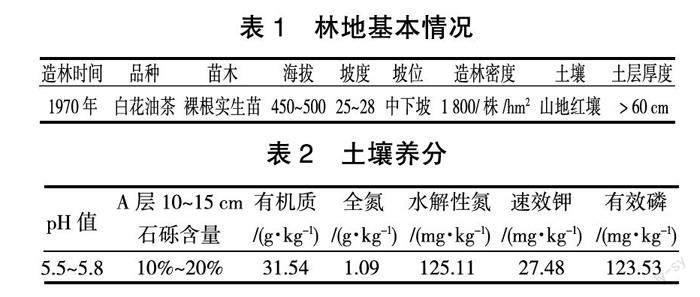 砍伐强度对林下幼龄油茶生长的影响