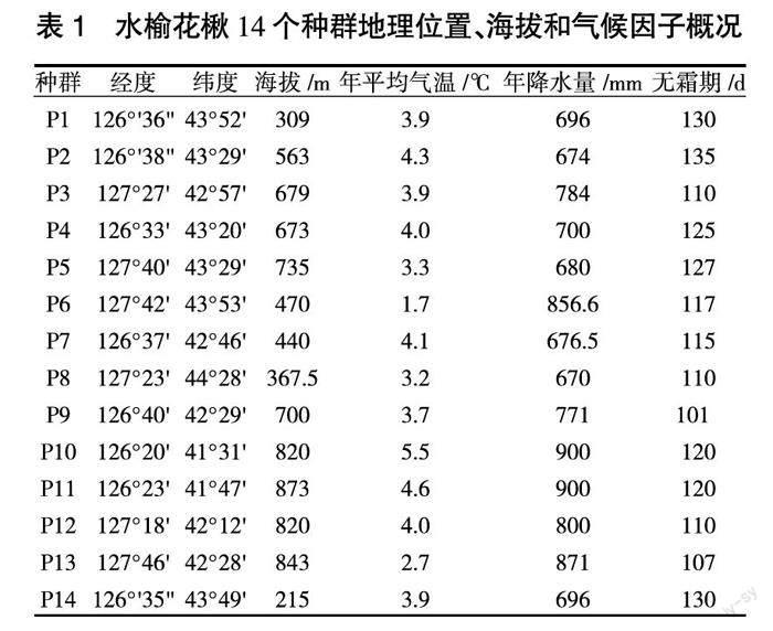 基于种实性状的水榆花楸优良单株选择