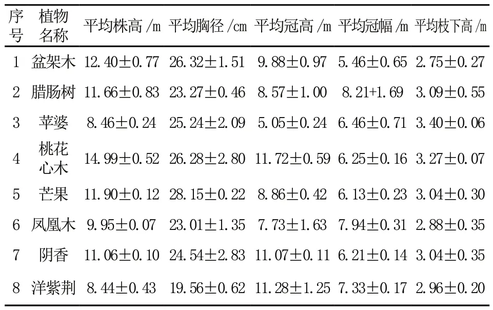 改善热舒适性的园林树木遮荫效果研究