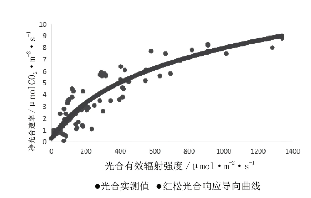 次生林栽针保阔效果及影响因子探讨