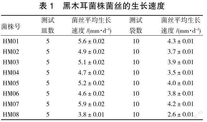 一株优良野生黑木耳菌株的筛选及其栽培特性