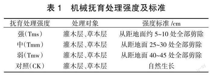 机械抚育对笃斯越橘植株、光合及结实的影响