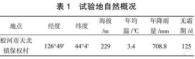 不同催芽法对水榆花楸种子发芽及苗期生长的影响
