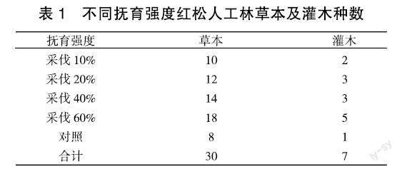 不同抚育强度红松人工林植物多样性分析