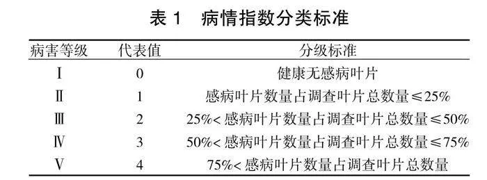 无人机施药对龙牙楤木叶斑病的防治效果研究