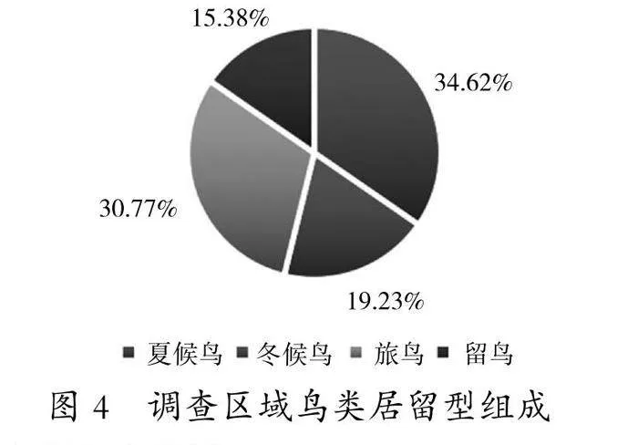 东营海上风电建设对鸟类多样性的影响及保护措施