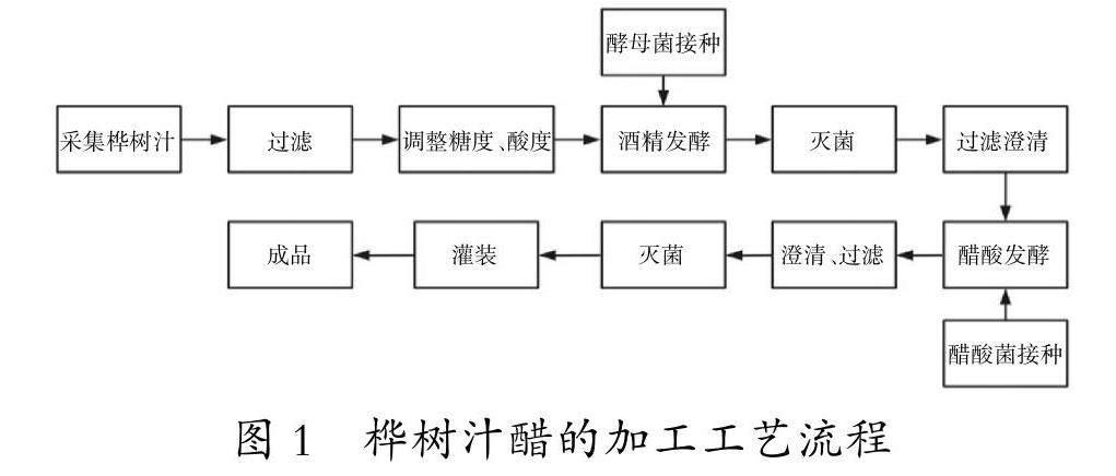 响应面法优化桦树汁醋醋酸发酵工艺