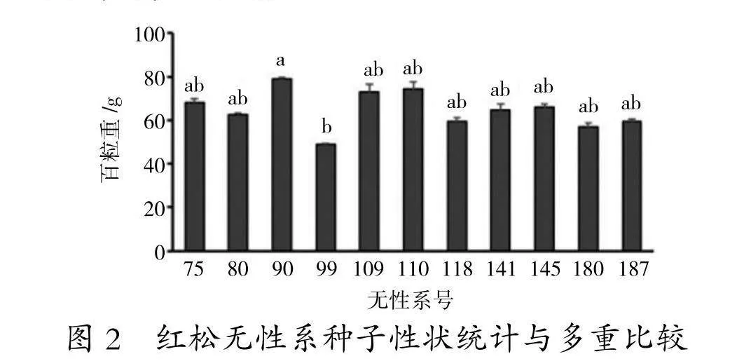 果用红松优良无性系选择研究