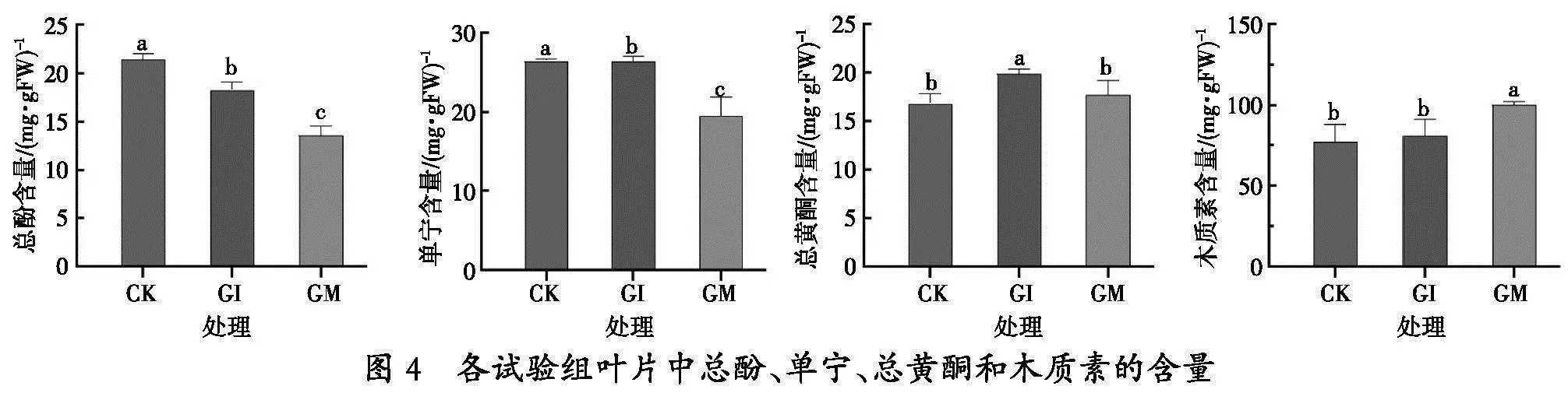 从枝菌根真菌对青山杨生长及其物质代谢的影响