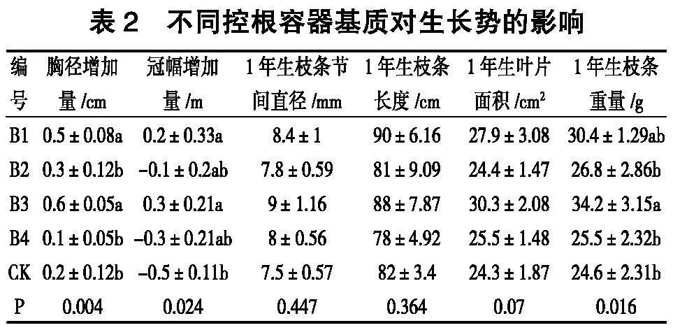 不同移栽操作方法对乌桕全冠移栽生长的影响