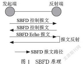 无缝双向转发检测在分段路由中的应用